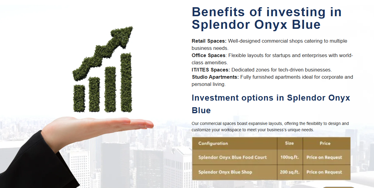 Splendor Group website design, section screenshot 4